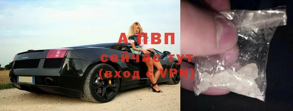 ПСИЛОЦИБИНОВЫЕ ГРИБЫ Балахна