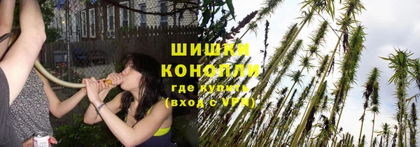 гидра Балабаново