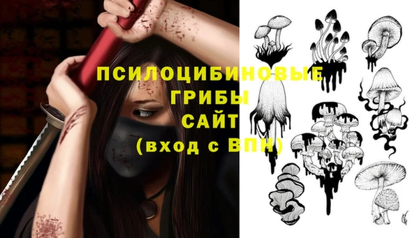 ПСИЛОЦИБИНОВЫЕ ГРИБЫ Балахна